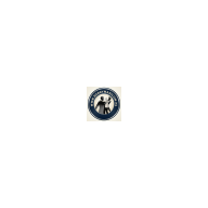 Application icon